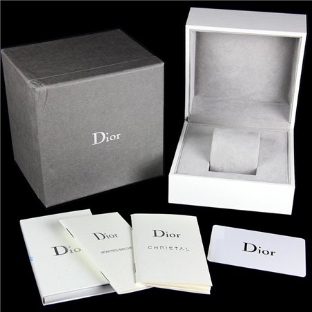 dior watch silver